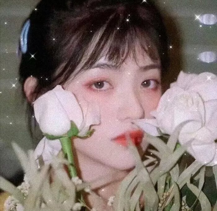 豺狼之吻