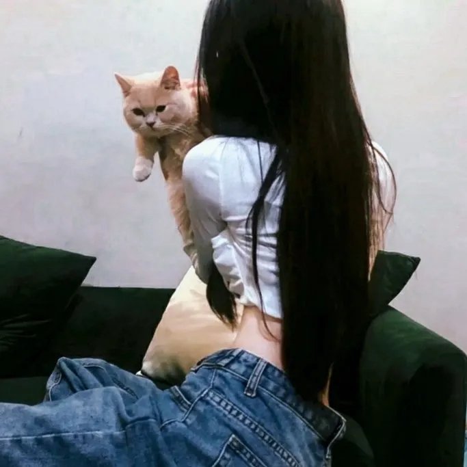 谜宫